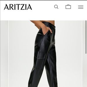 Aritzia Wilfred modern cargo leather pant